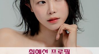 최혜선 프로필 (인플루언서 방송인)