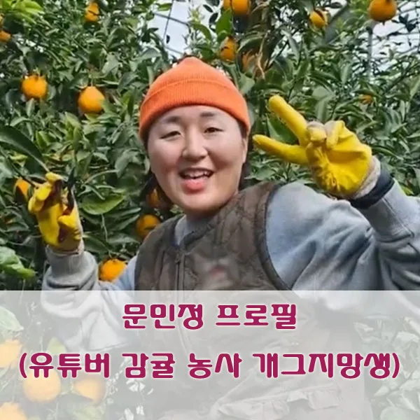 문민정 프로필 (유튜버 감귤 농사 개그지망생)